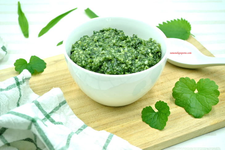 Pesto orties, plantain, lierre terrestre