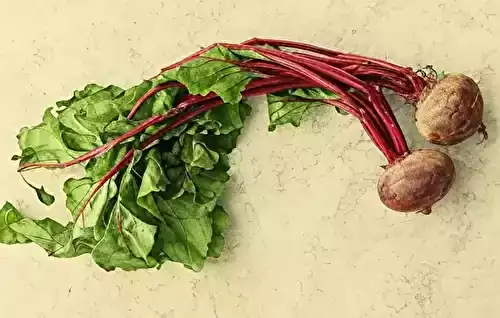 Comment Découper la Betterave: Guide Complet Techniques Tranches, Quartiers et Julienne