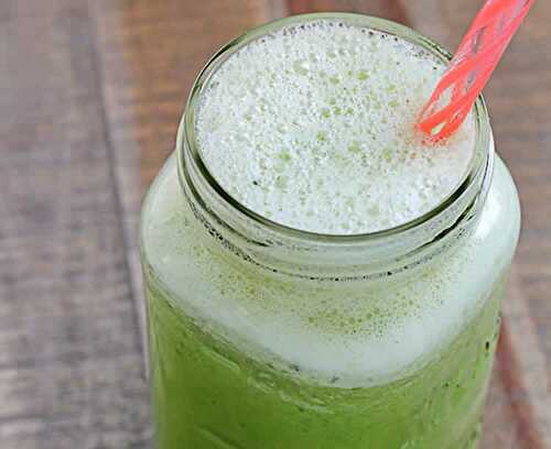 Jus de courgette géant vert avec thermomix - recette thermomix.