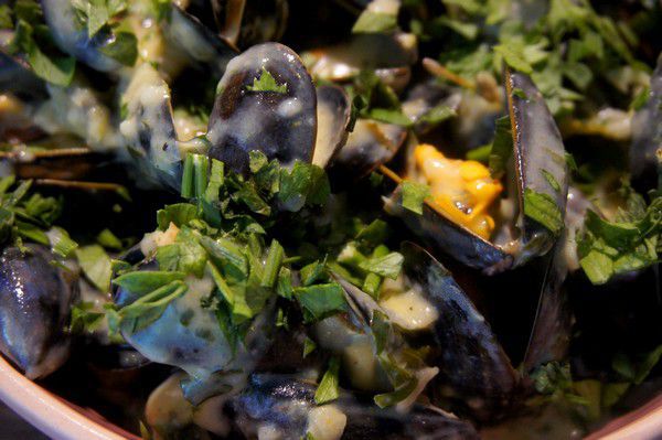 Moules à la crème, ail et persil sans vin blanc - Recettes de Papounet