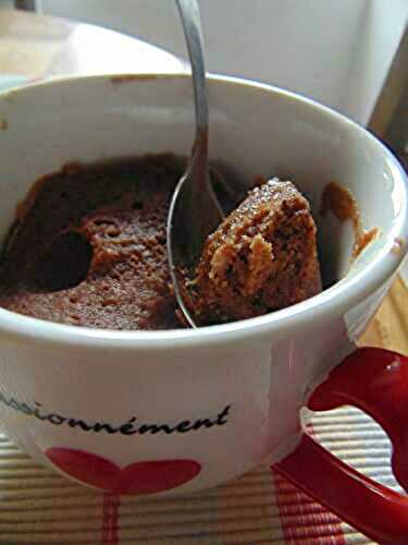 Mug Cake au chocolat