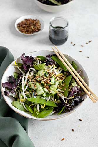 Salade de fèves germées à l’asiatique