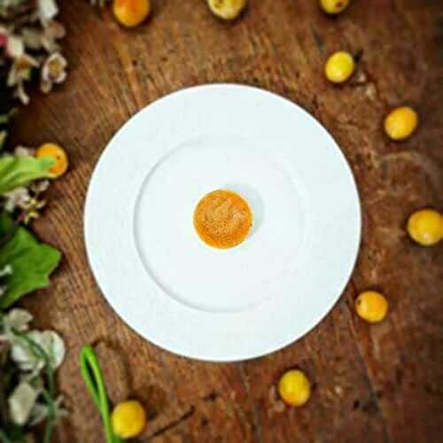 Confit de Mirabelles pour Insert Pectine NH et Gélatine