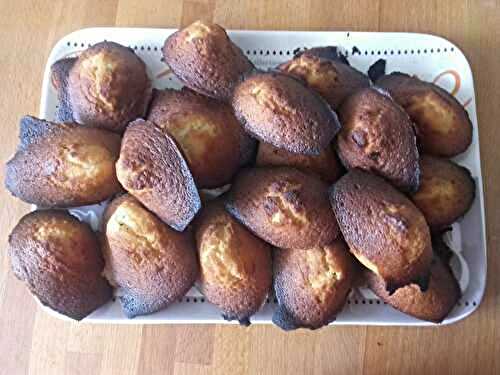 Madeleines