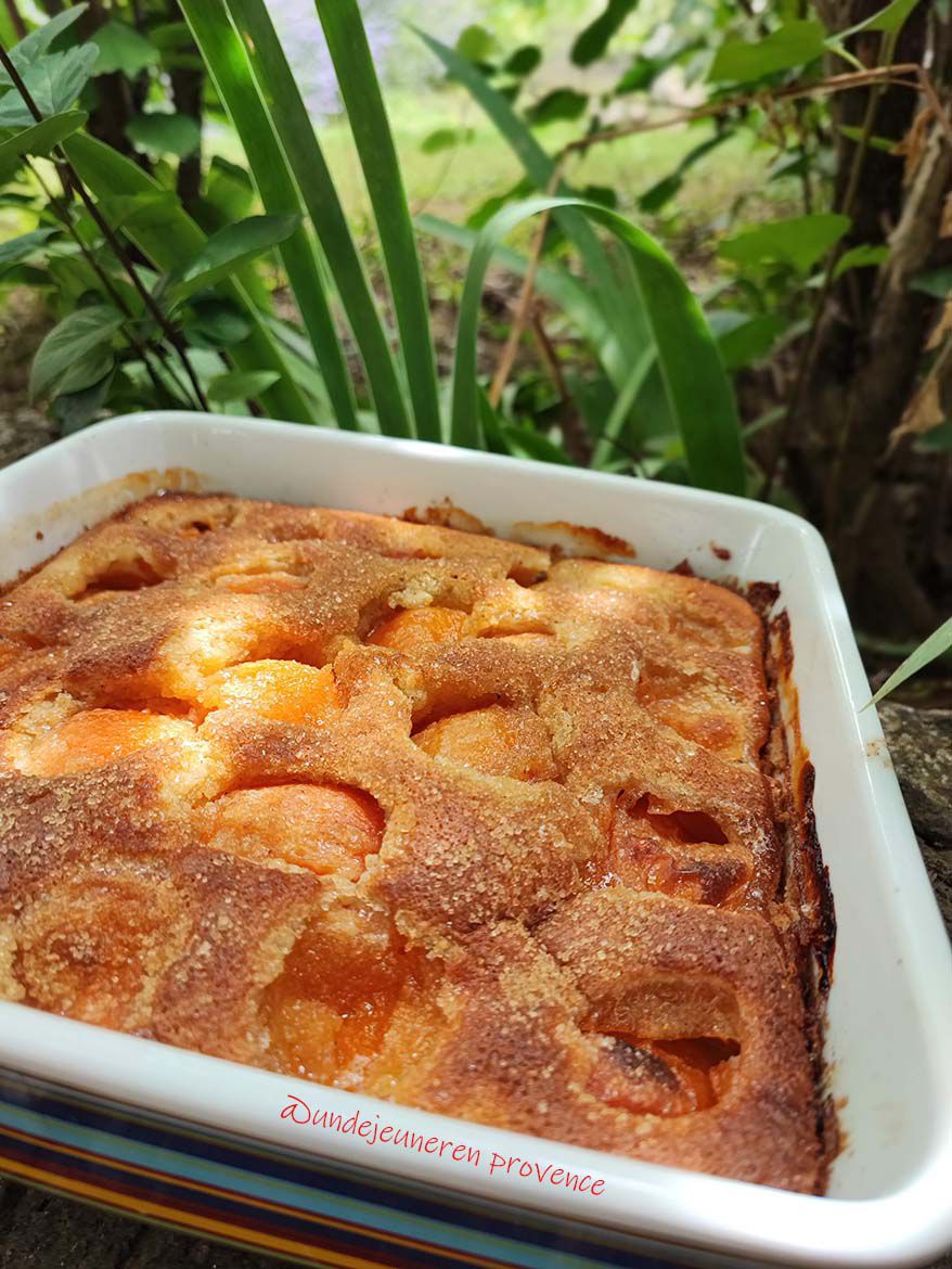 Clafoutis aux abricots