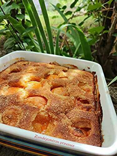 Clafoutis aux abricots