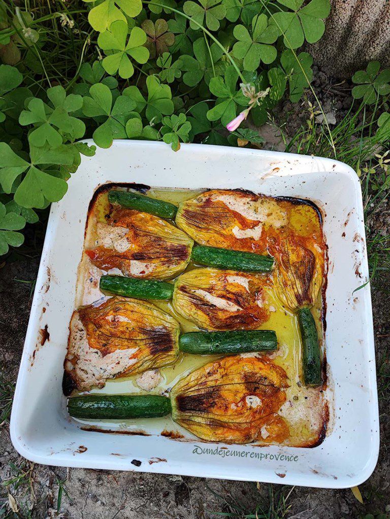 Fleurs de courgettes farcies