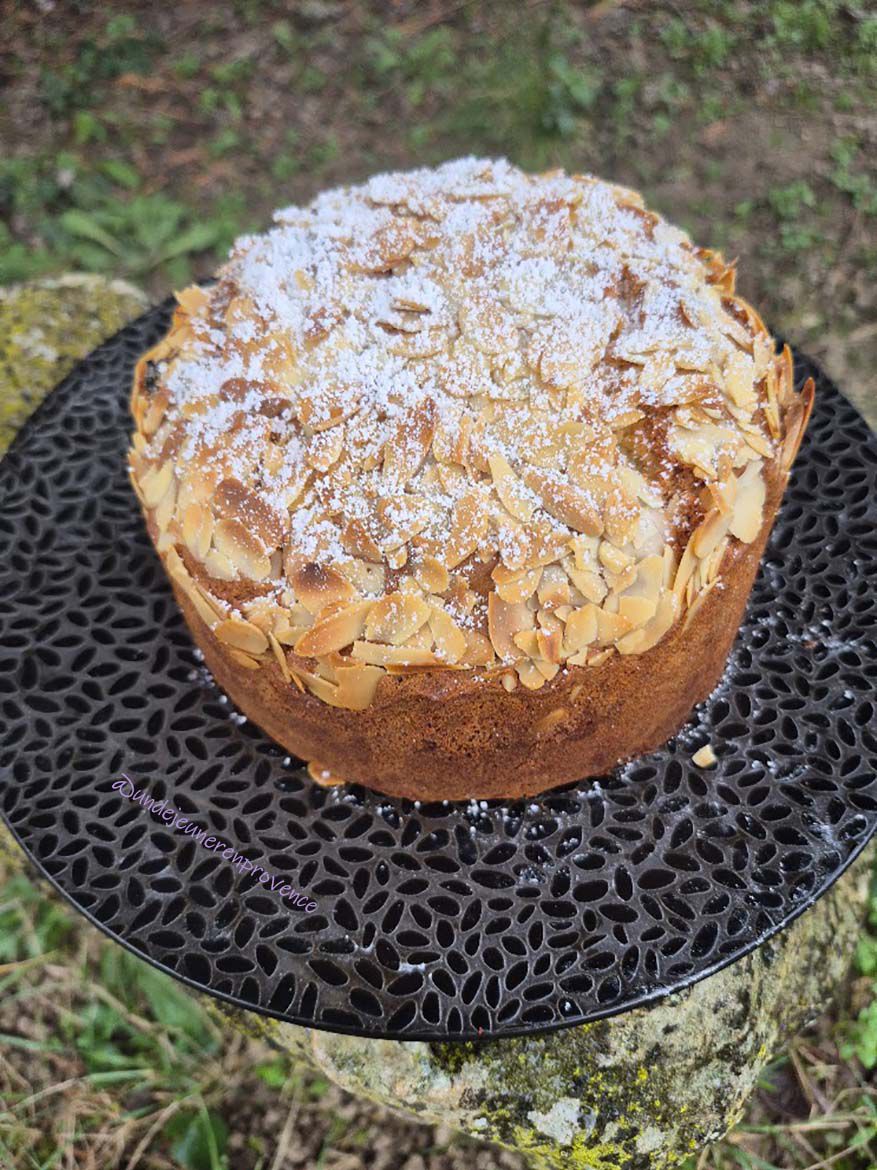 Gâteau panettone 