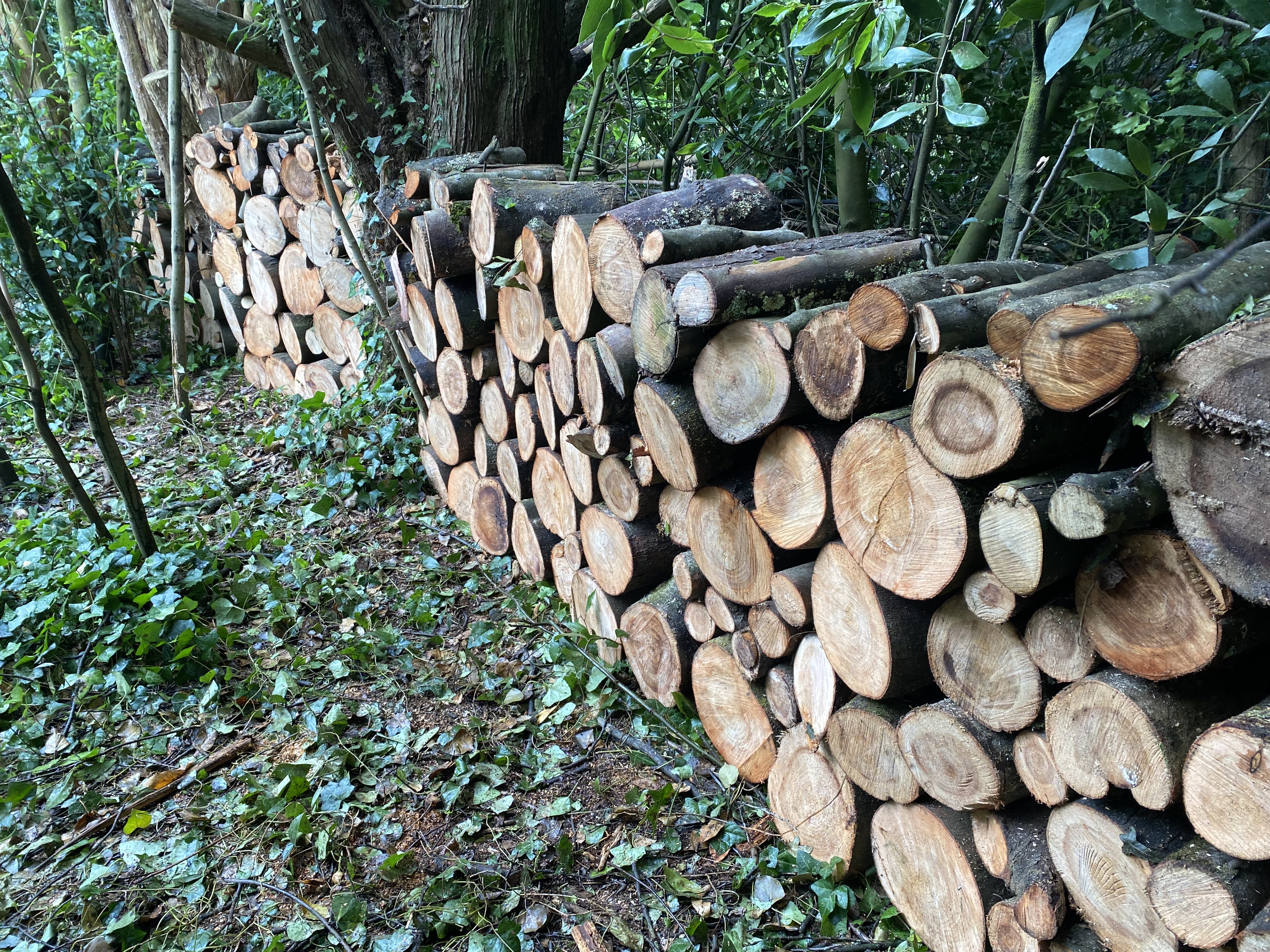 Un peu de nature, on pense à l’hiver