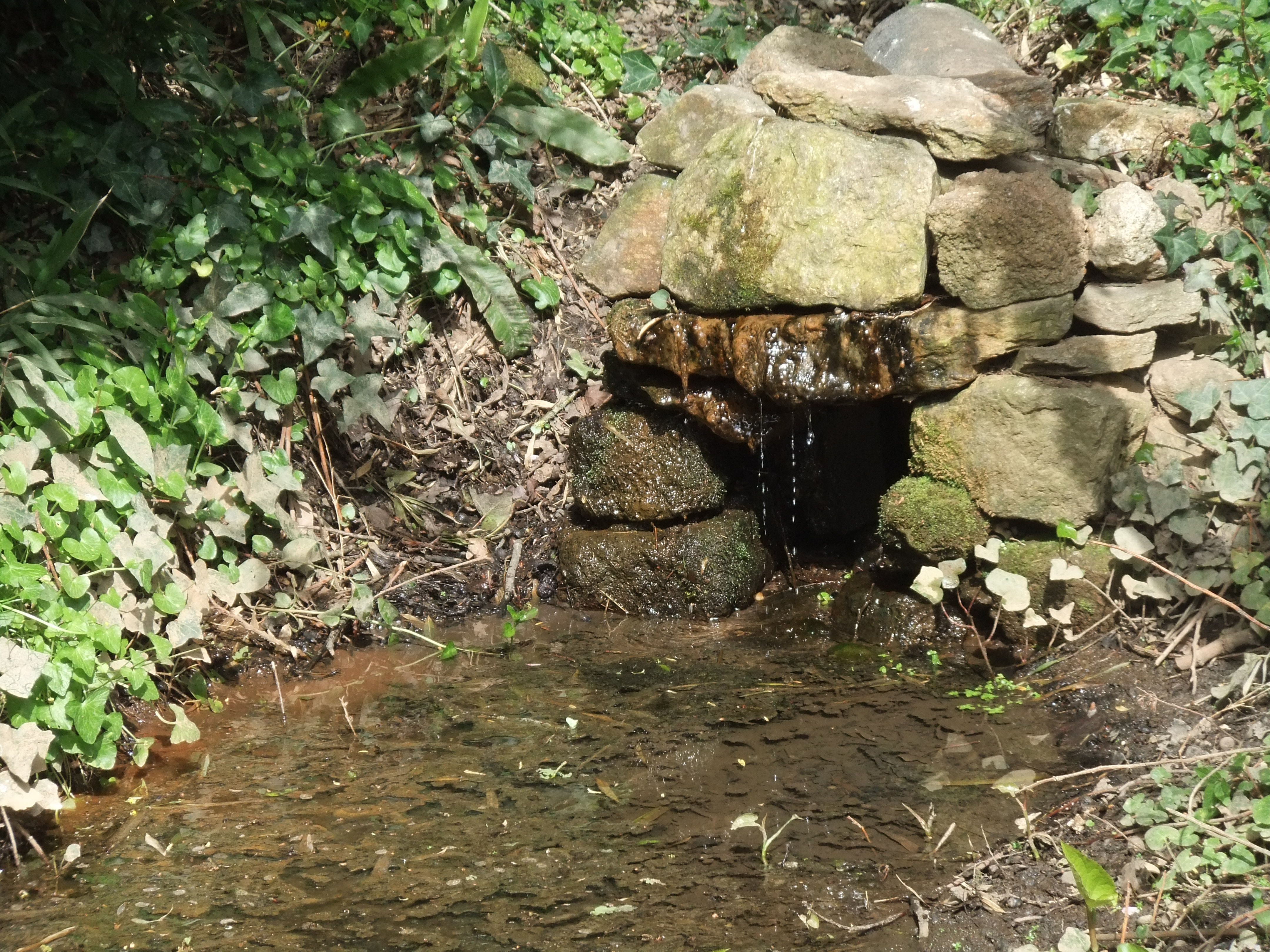 Défi du 20 : l’eau avec un poème pour compléter