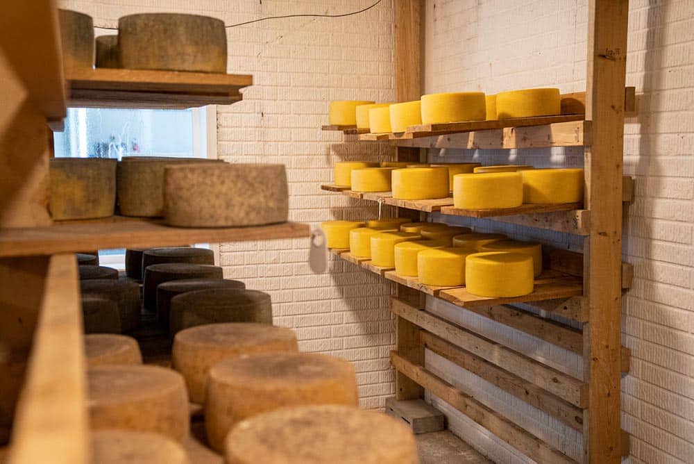 Comment faire pour ouvrir une fromagerie à succès ?