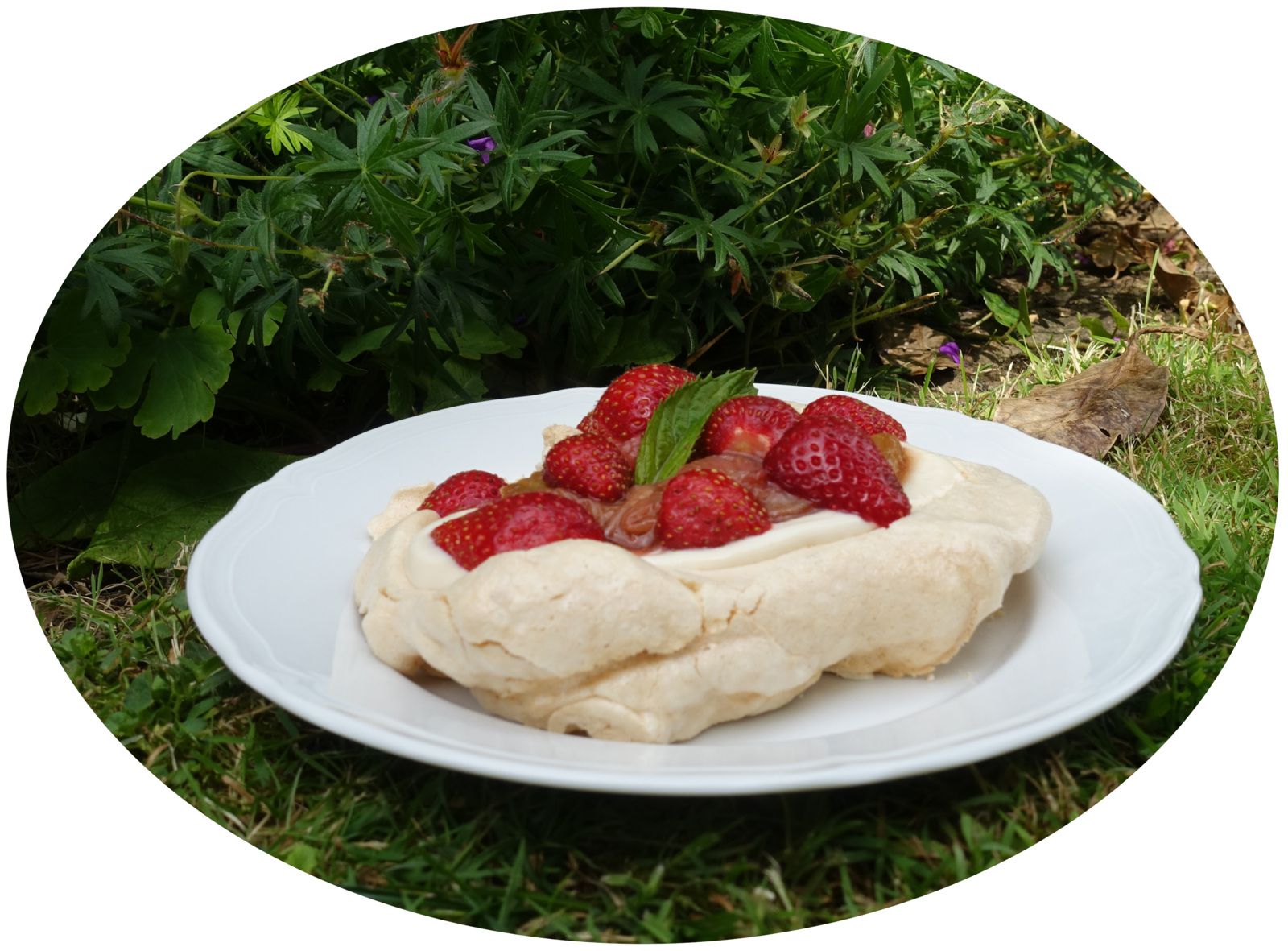 Pavlova rhubarbe & fraises