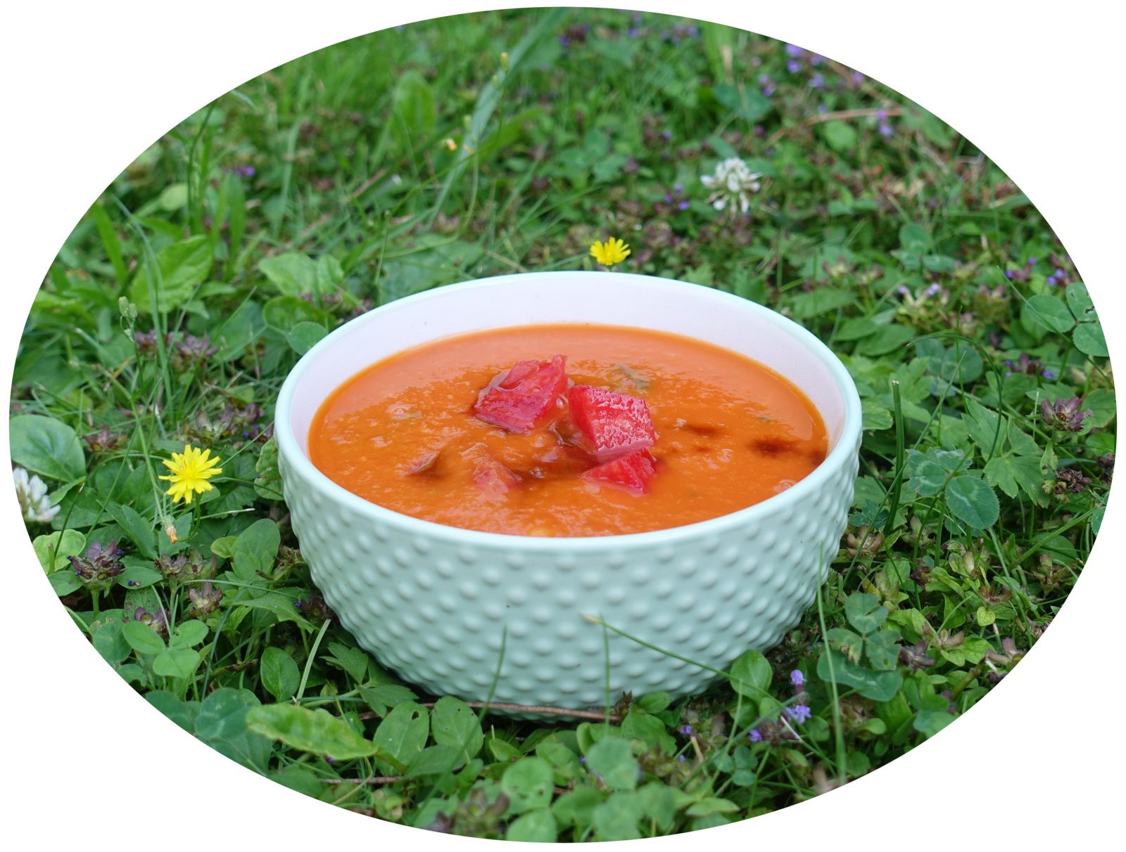 Soupe à la tomate & haricots blancs - IG Bas