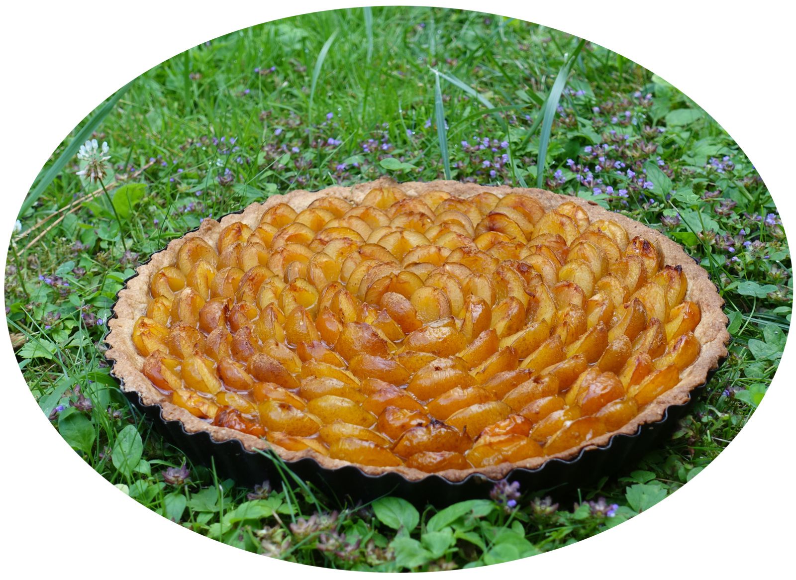 Tarte aux mirabelles à la farine semi-complète & cannelle 