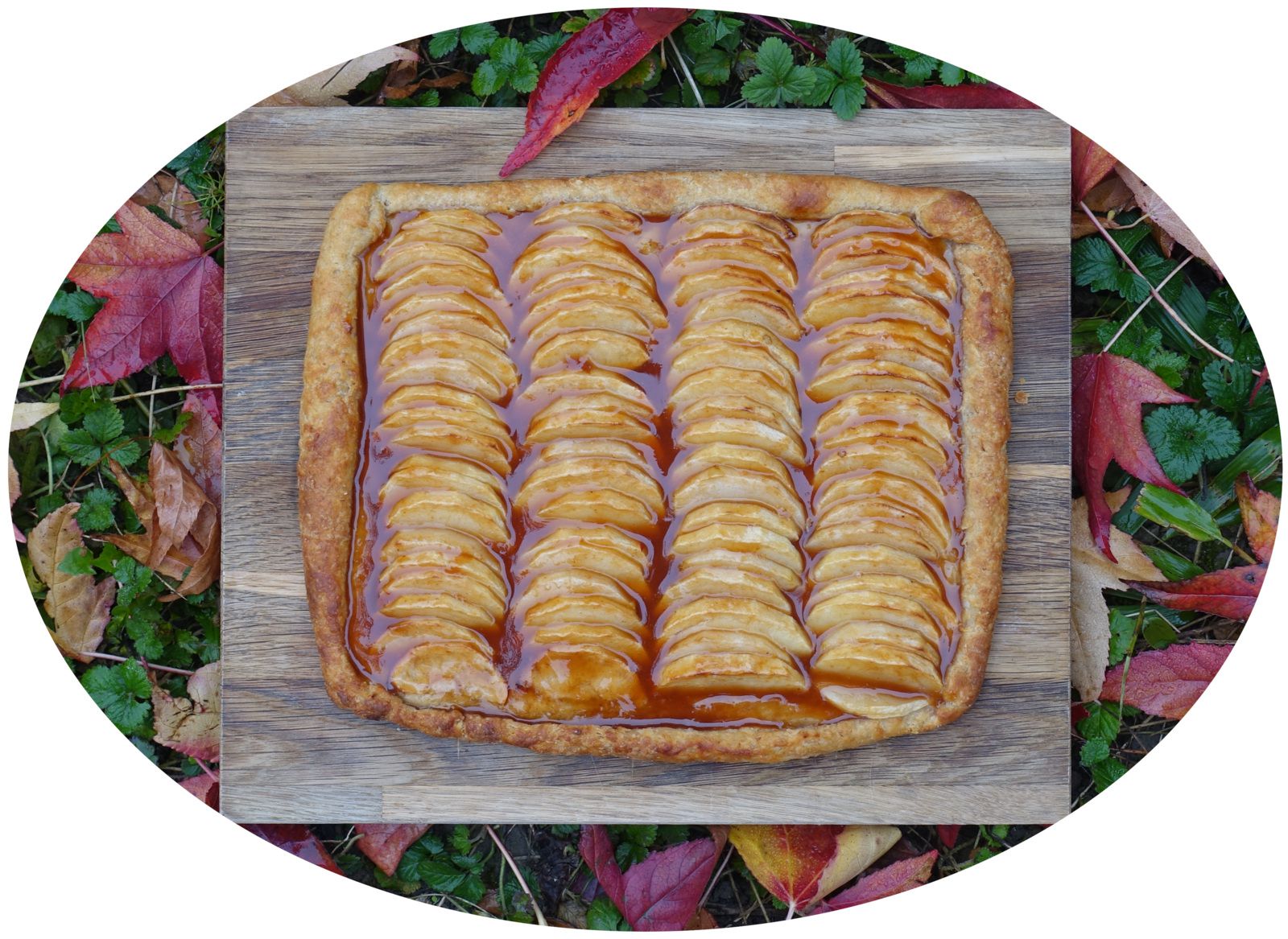 Tarte aux pommes & gelée de coings