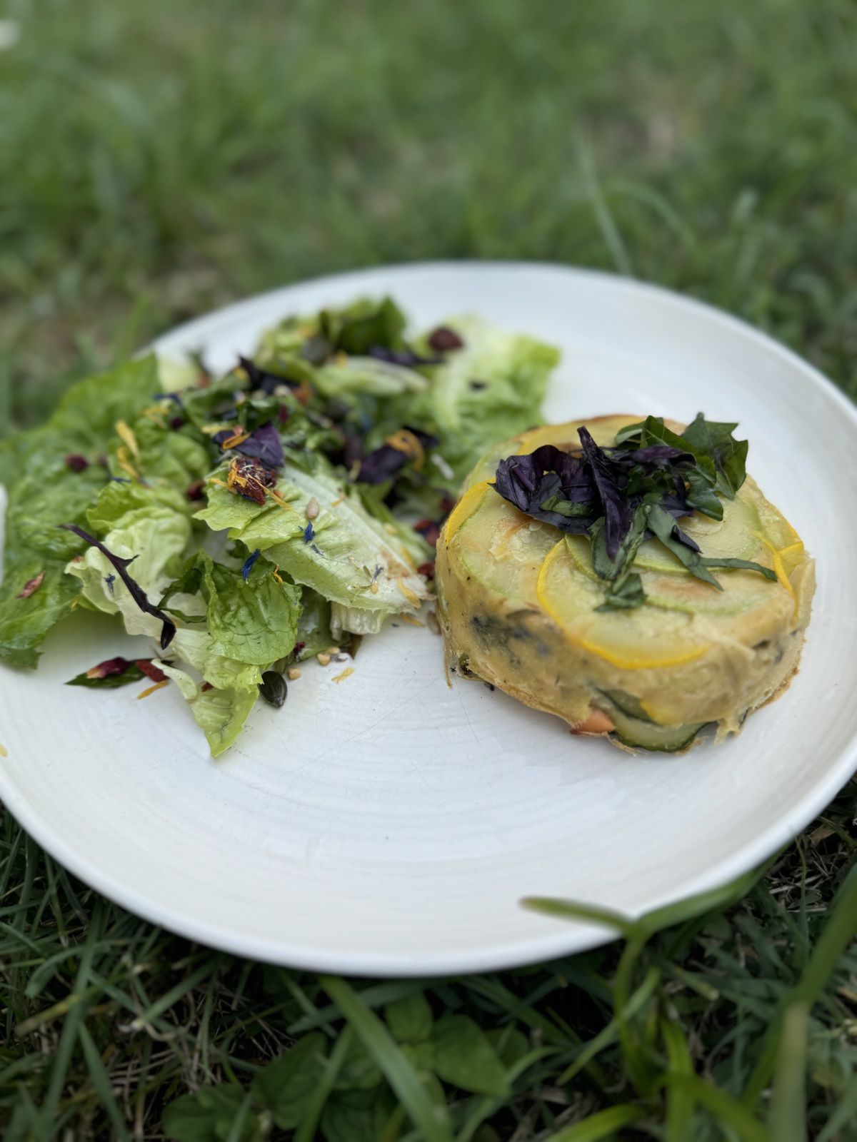 CLAFOUTIS DE COURGETTES A LA TRUITE FUMEEP