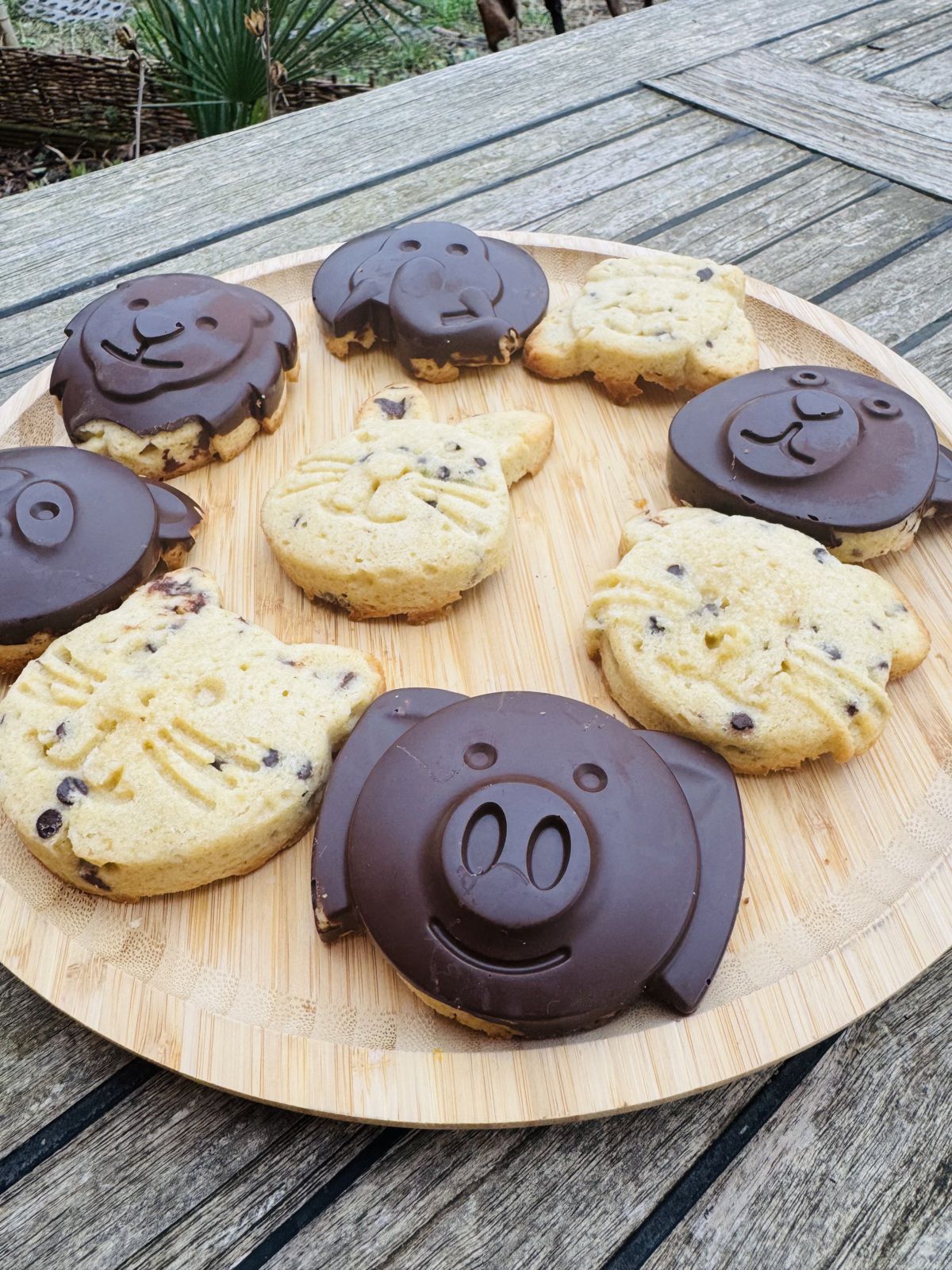 ANIMAUX COOKIES COQUE CHOCOLAT