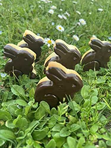 LAPINOUX FACON PIMS FRAISE