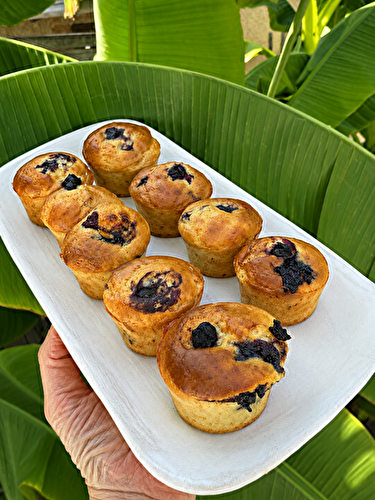 MINI MUFFINS MYRILLES SKYR
