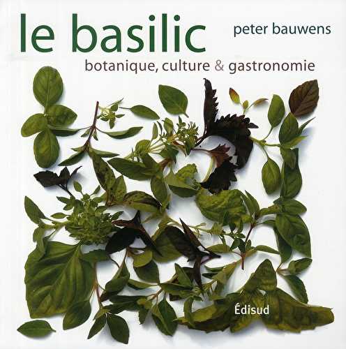 Basilic - botanique, culture et cuisine