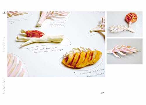 Food futures - experimental food design