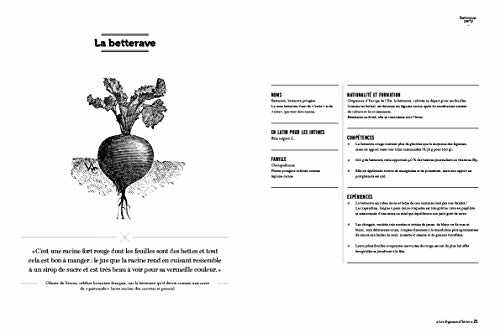 Les légumes d'hiver - recettes et portraits