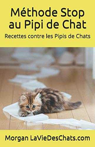 Recettes contre les pipis de chats: ou comment le ramener dans sa litière