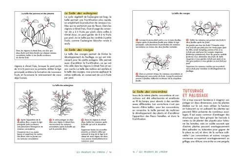 Un Jardin nourricier - Guide pour un retour à la terre réussi et une autonomie alimentaire retrouvée - Créer sa micro-ferme avec potager, verger, ruches, basse-cour, clapiers